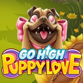 Go High Puppy Love slot icon by RubyPlay, available at Slotoro Casino