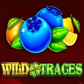 Enjoy Wild Traces by Amusnet Interactive – logo hosted on slotorro.com